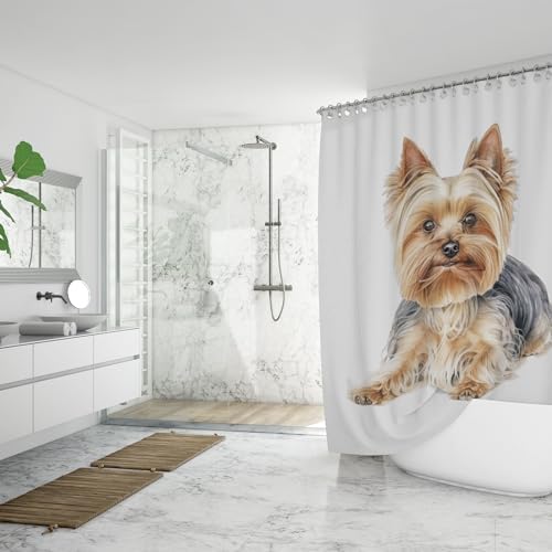 Ganshan Bi Chesapeake Bay Retriever Dog White Shower Curtain 72x72 Inch