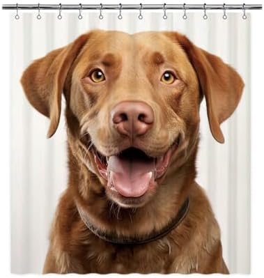 Ganshan Bi Chesapeake Bay Retriever Dog White Shower Curtain 72x72 Inch