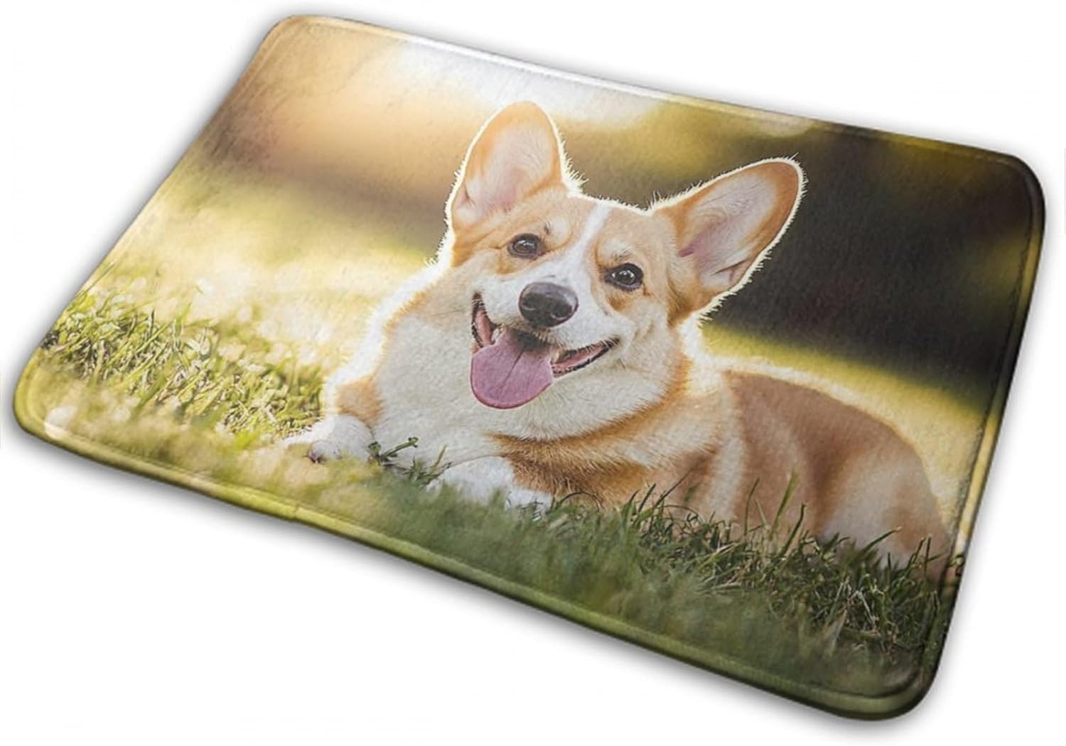 BoomDragon Anti-Slip Bath Mat for Indoor Outdoor Use