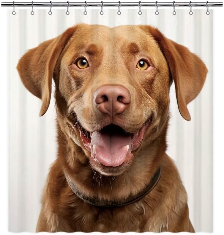 Ganshan Bi Chesapeake Bay Retriever Dog White Shower Curtain 72x72 Inch