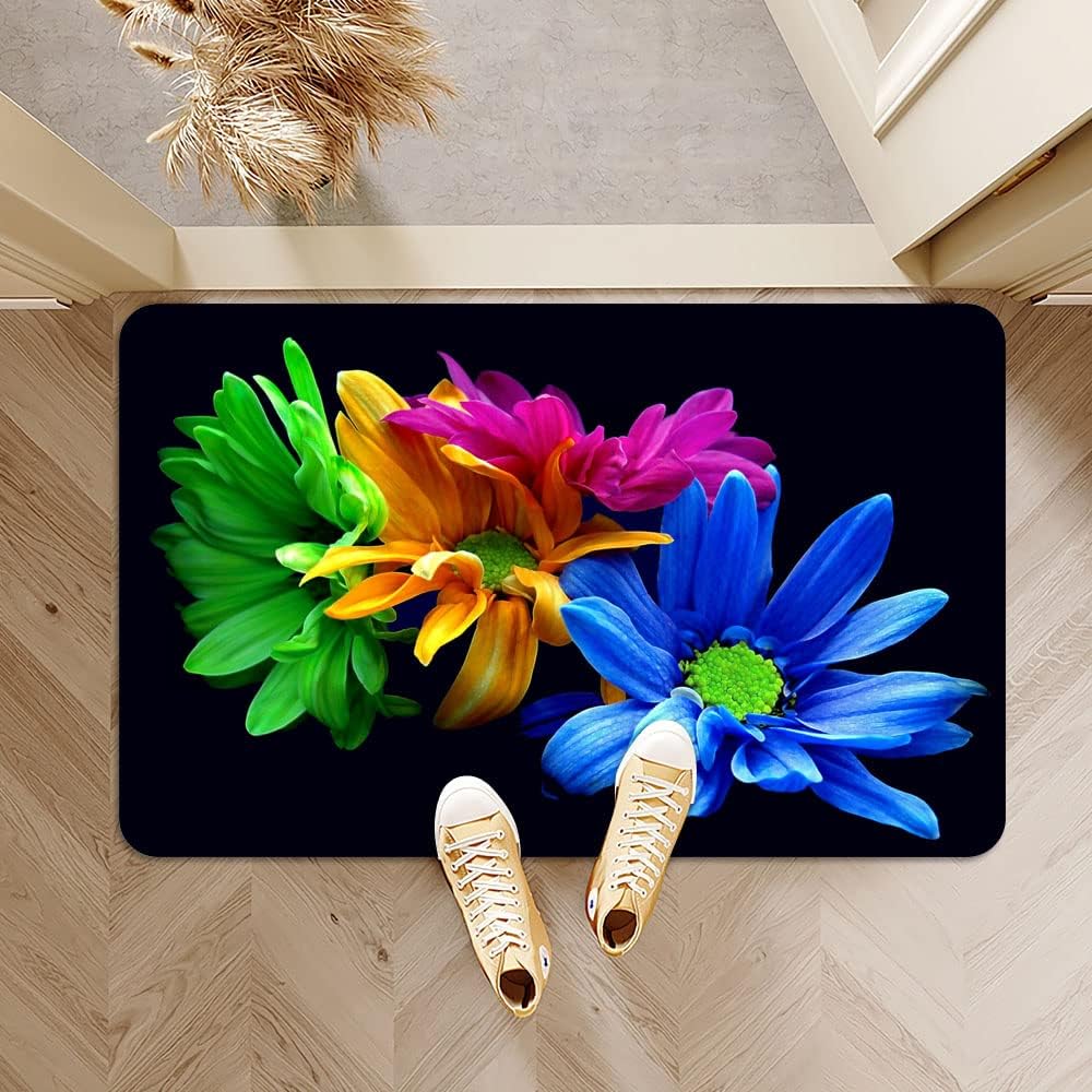 IMAYONDIA Diatomaceous Earth Bath Mat 40x60cm