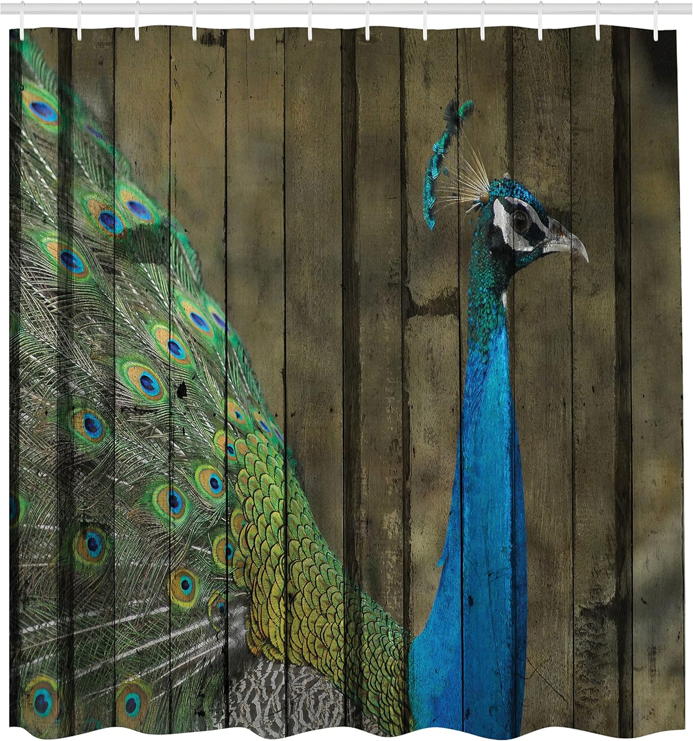 Ambesonne Peacock Shower Curtain 69 x 84 Brown Green